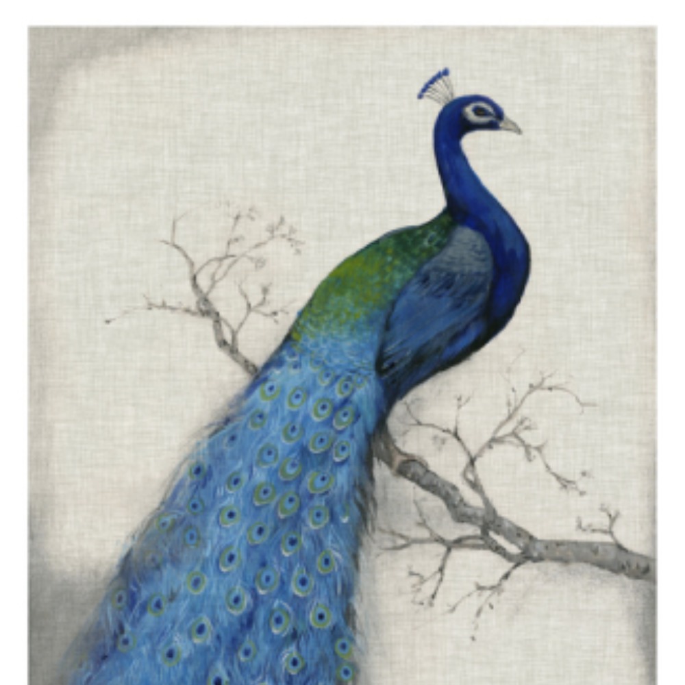 Meet your Posher, Robert